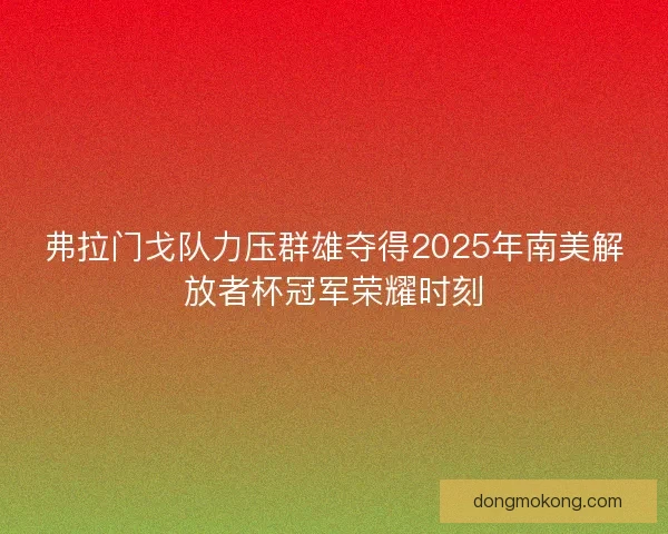 弗拉门戈队力压群雄夺得2025年南美解放者杯冠军荣耀时刻 弗拉门戈队力压群雄夺得2025年南美解放者杯冠军荣耀时刻